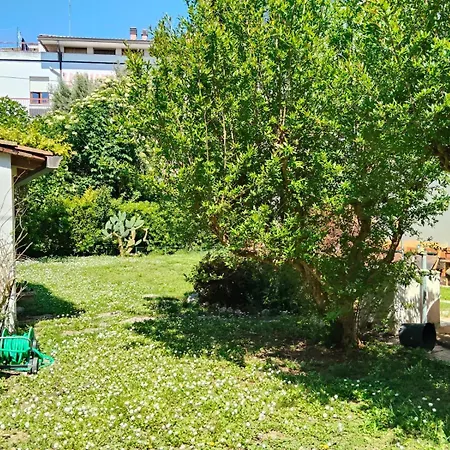 Il Giardino Di Ely * Senigallia